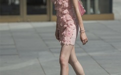 蝴蝶飞飞第二部